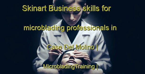 Skinart Business skills for microblading professionals in Case Del Molino | MicrobladingTraining | MicrobladingClasses | SkinartTraining-Italy